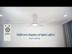 Decorative 60 Inches Plastic 5 Blades Ceiling Fan With 5 Speed Remote Control