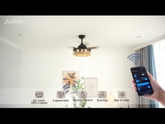 Cây dây thừng ẩn Blade Ceiling Fan Light With Remote Control Dc Motor