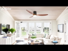 Động cơ DC nhựa trang trí