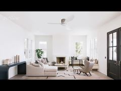 Quạt trần hiện đại 48'' Cánh nhựa Động cơ DC Mẫu hai chức năng với Bộ đèn tùy chọn