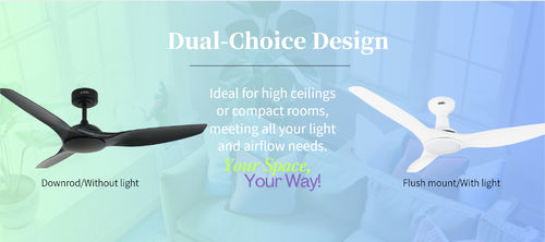 Tin tức công ty mới nhất về Một quạt, nhiều khả năng: Tùy chọn tùy chỉnh từ 1stShine